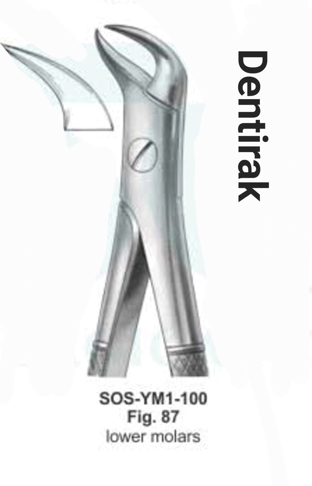 Cow horn lower moler #87