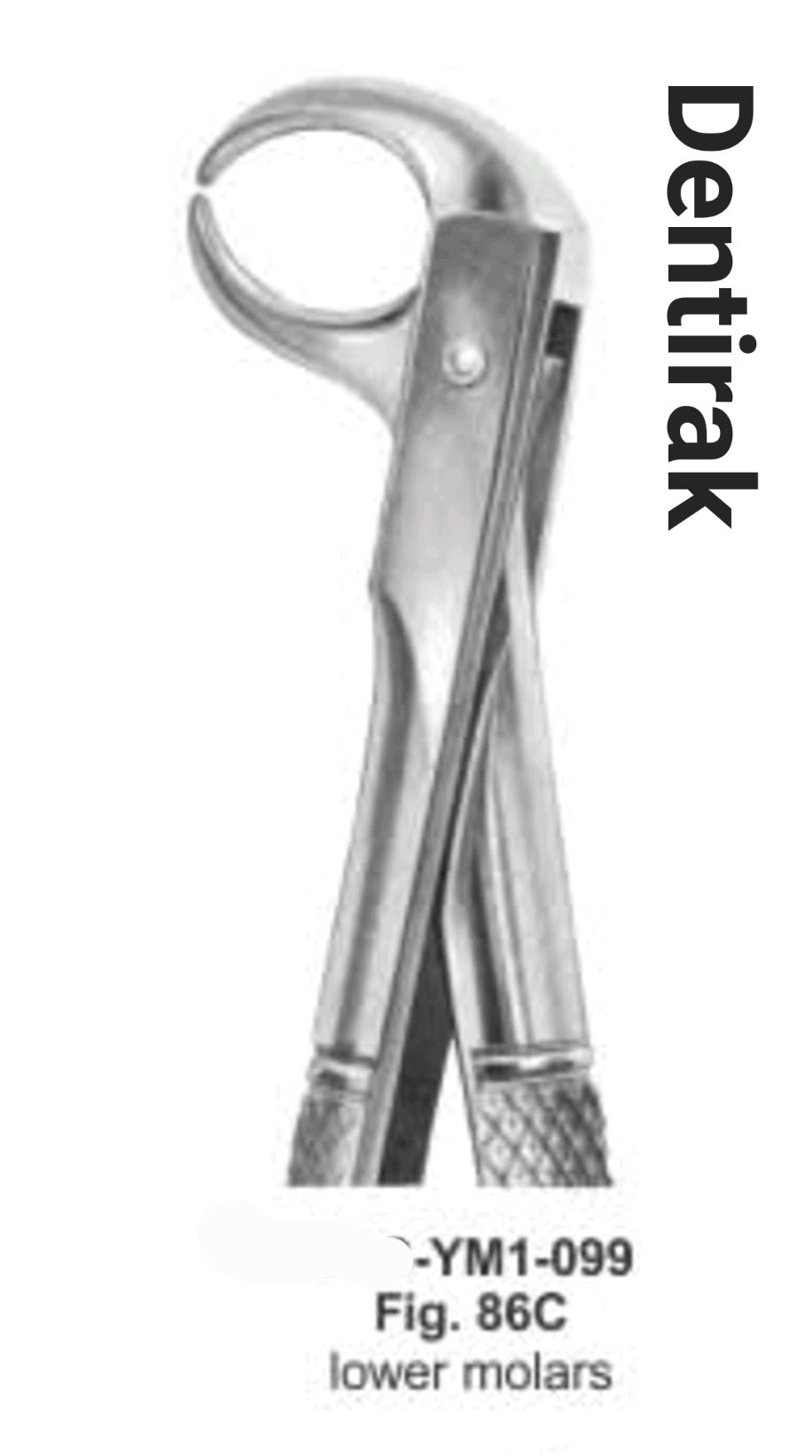 Cow horn lower moler