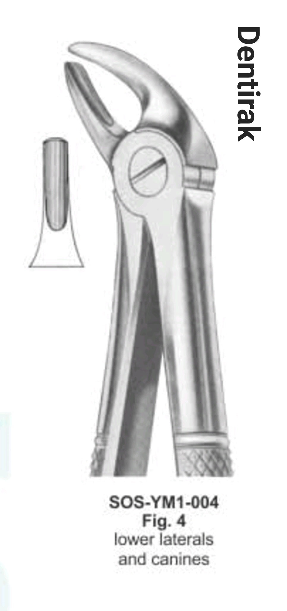 # lower latiral and canines