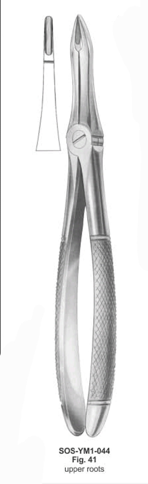 Upper Root forceps #41